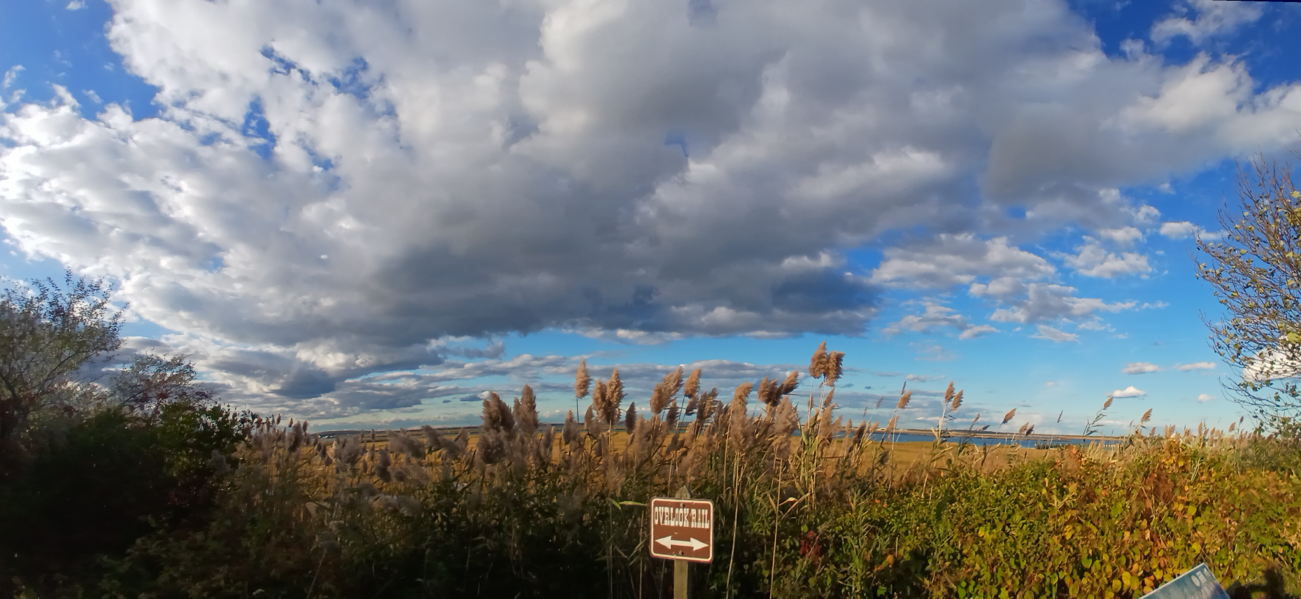 Kid Blank Meme Template