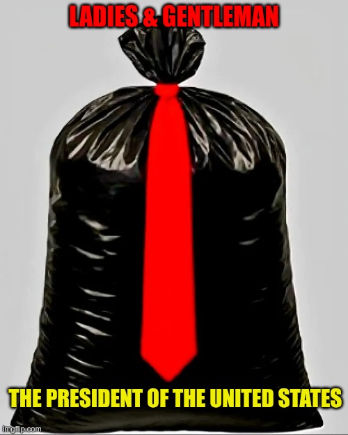 President of the United States | Ladies & Gentleman; The President of the United States | image tagged in trump,gop,maga,nazi,fascists,trash | made w/ Imgflip meme maker