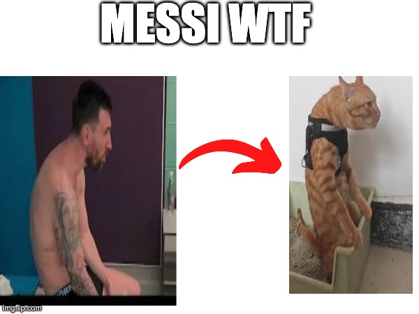 Messi WHAT is this posture? | MESSI WTF | image tagged in messi,football,cat meme,football meme | made w/ Imgflip meme maker