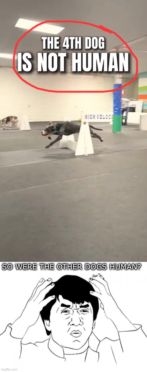 ??? | So were the other dogs human? | image tagged in memes,jackie chan wtf | made w/ Imgflip meme maker