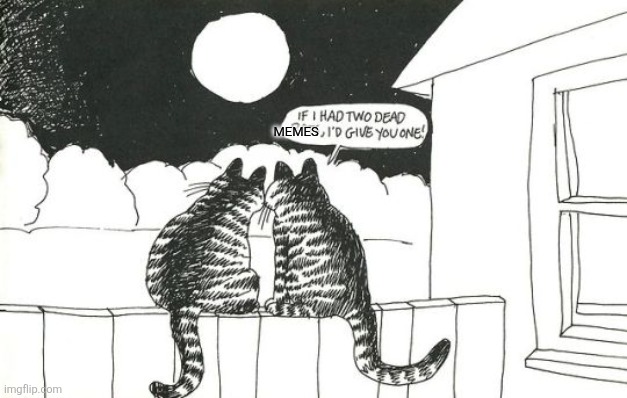 MEMES | image tagged in tumblr_nbegzustyv1trpk2lo1_540 jpg | made w/ Imgflip meme maker