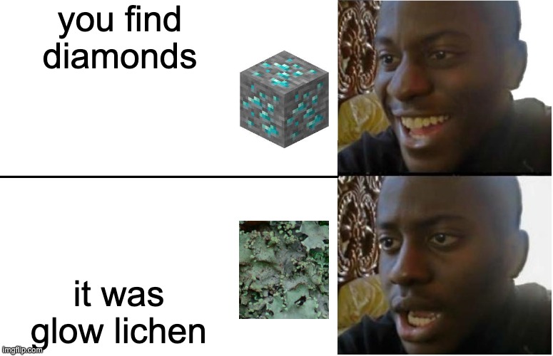 Disappointed Black Guy | you find
diamonds; it was
glow lichen | image tagged in disappointed black guy | made w/ Imgflip meme maker