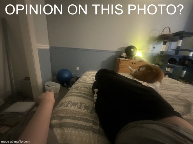 Opinion on this photo? | made w/ Imgflip meme maker