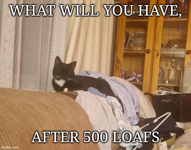 What will you have, After 500 loafs | image tagged in img-20250903-wa0000 jpg | made w/ Imgflip meme maker