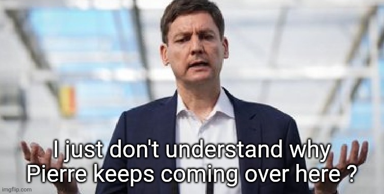 Canadian politics | image tagged in political meme | made w/ Imgflip meme maker