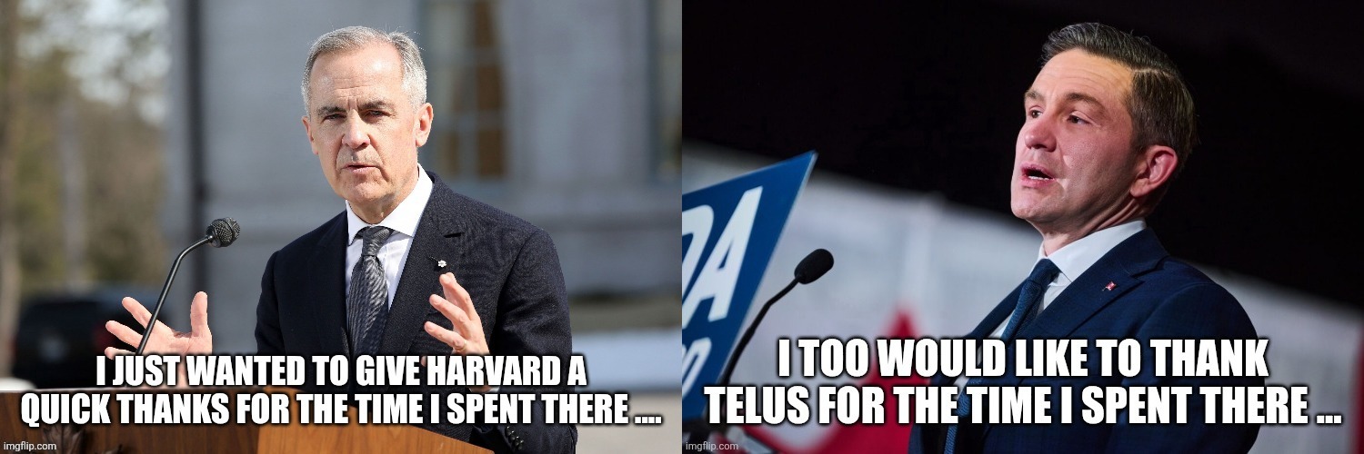 Canadian politics | image tagged in political meme | made w/ Imgflip meme maker