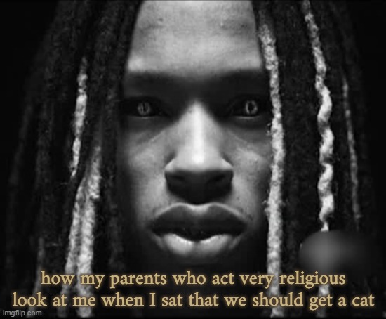idk | how my parents who act very religious look at me when I sat that we should get a cat | image tagged in king von | made w/ Imgflip meme maker