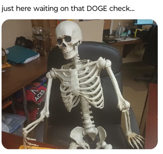 DOGE check blues Blank Meme Template