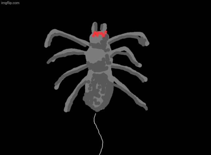 Spooder | image tagged in spider | made w/ Imgflip meme maker