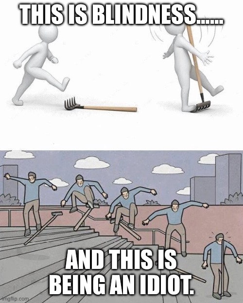 Stepping vs. Jumping On A Rake | This is blindness……; And this is being an idiot. | image tagged in stepping vs jumping on a rake | made w/ Imgflip meme maker