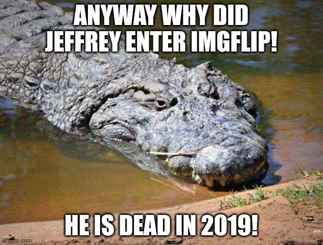Crocodile | Anyway WHY DID JEFFREY ENTER IMGFLIP! He is dead in 2019! | image tagged in crocodile | made w/ Imgflip meme maker