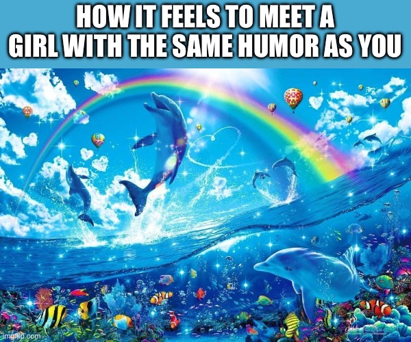 Yippee! A friend of the opposite gender! | How it feels to meet a girl with the same humor as you | image tagged in dolphin jumping with rainbow,memes,fun | made w/ Imgflip meme maker
