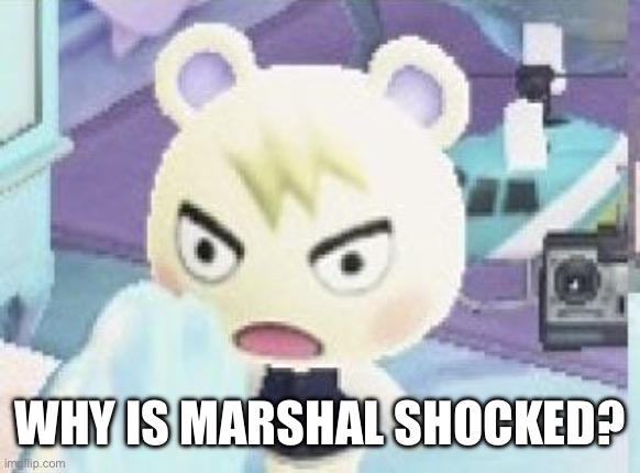 Captions, quotes, and funny scenarios in the comments, please | Why is Marshal shocked? | image tagged in marshal shocked,animal crossing | made w/ Imgflip meme maker