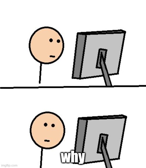 What Did I Just See | why | image tagged in what did i just see | made w/ Imgflip meme maker