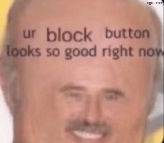 image tagged in that block button looks good rn | made w/ Imgflip meme maker