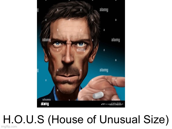 H.O.U.S (House of Unusual Size) | made w/ Imgflip meme maker