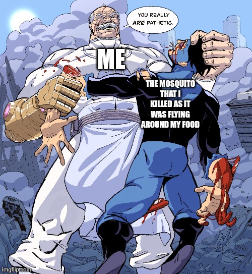 Me; The mosquito that I killed as it was flying around my food | image tagged in memes,mosquito,swat | made w/ Imgflip meme maker