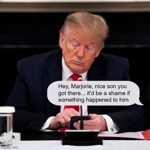 Mafia Don | Hey, Marjorie, nice son you
got there... it'd be a shame if
something happened to him | image tagged in trump texting,marjorie taylor greene,text messages,trump unfit unqualified dangerous,criminal | made w/ Imgflip meme maker