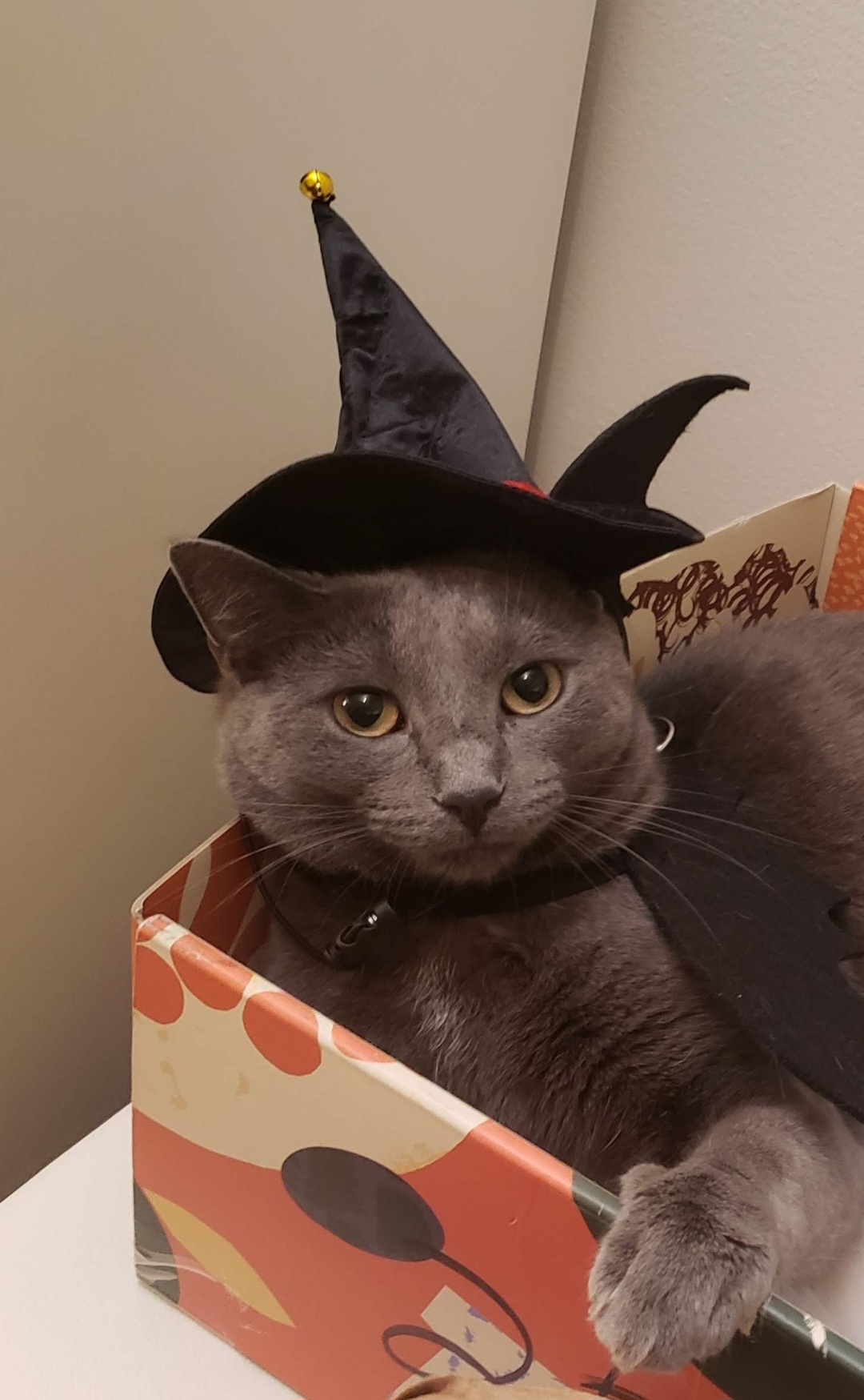 I CAST Blank Meme Template