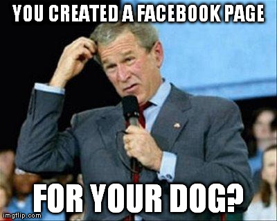 Bush Confusion | YOU CREATED A FACEBOOK PAGE FOR YOUR DOG? | image tagged in bush confusion | made w/ Imgflip meme maker