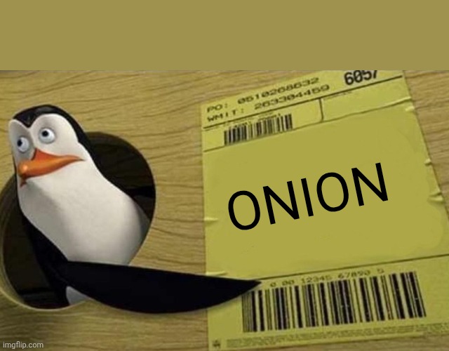 Important Notice | Onion | image tagged in kowalski,onion,onions,vegetable,memes,important | made w/ Imgflip meme maker