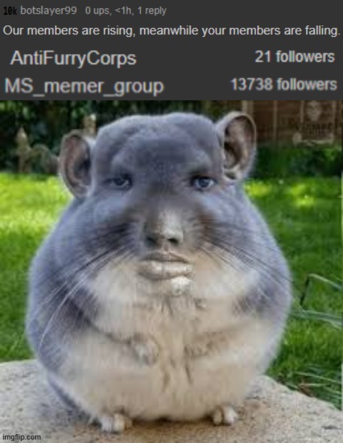 son | made w/ Imgflip meme maker