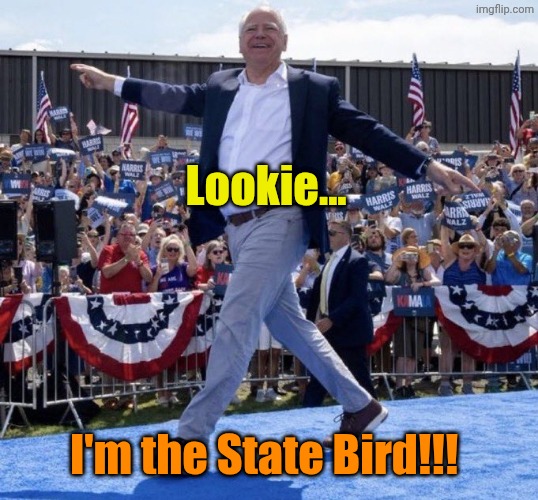Lookie... I'm the State Bird!!! | image tagged in tim walz gay | made w/ Imgflip meme maker