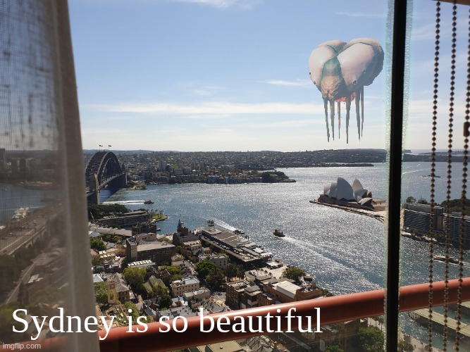 Sydney NSW Australia | Sydney is so beautiful | image tagged in sydney nsw australia | made w/ Imgflip meme maker