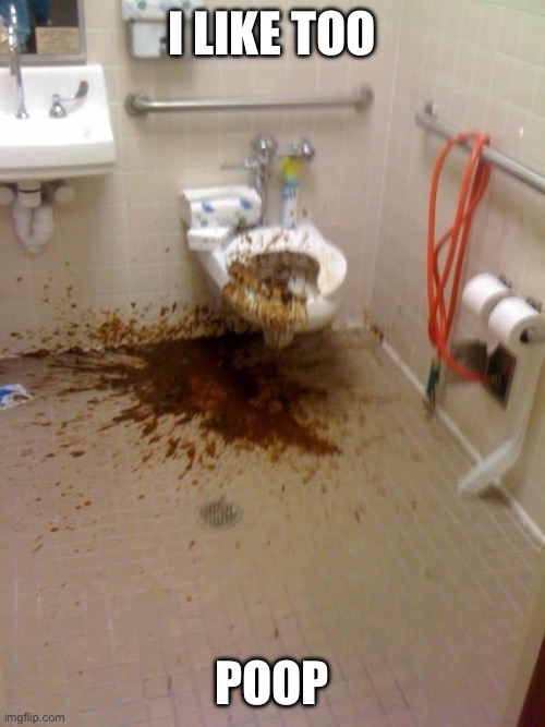 I like too Poop | image tagged in girls poop too | made w/ Imgflip meme maker