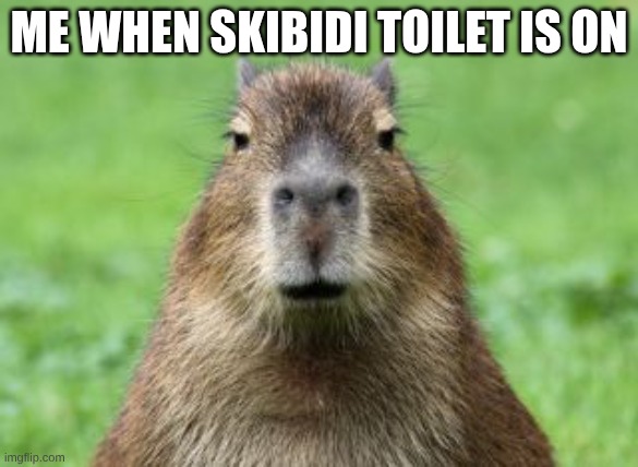 Me When Skibidi Toilet Is On | Me When Skibidi Toilet Is On | image tagged in disappointed capybara | made w/ Imgflip meme maker