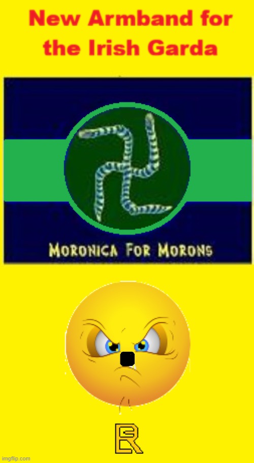 Irish Garda | image tagged in ireland,freedom,tyranny | made w/ Imgflip meme maker