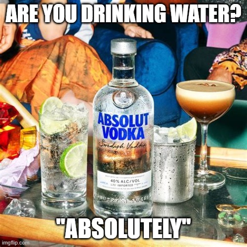 Are you drinking water? | Are you drinking Water? "Absolutely" | image tagged in funny | made w/ Imgflip meme maker