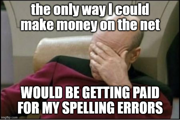 pickard | the only way I could make money on the net would be getting paid for my spelling errors | image tagged in pickard | made w/ Imgflip meme maker