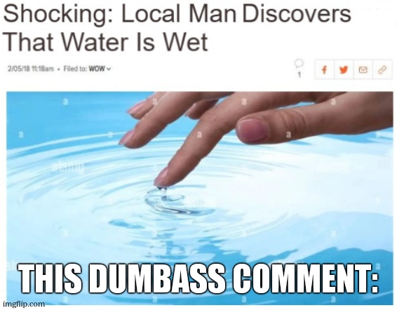 Local Man Discovers Water Is Wet | this dumbass comment: | image tagged in local man discovers water is wet | made w/ Imgflip meme maker