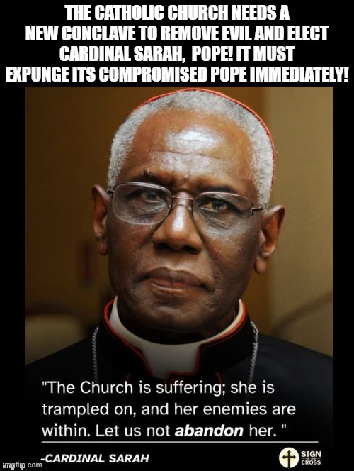 The Catholic Church needs a new Pope! Leo has been compromised by Evil!! | The Catholic church needs a new conclave to remove evil and elect Cardinal Sarah,  Pope! It must expunge its compromised pope immediately! | image tagged in good vs evil | made w/ Imgflip meme maker