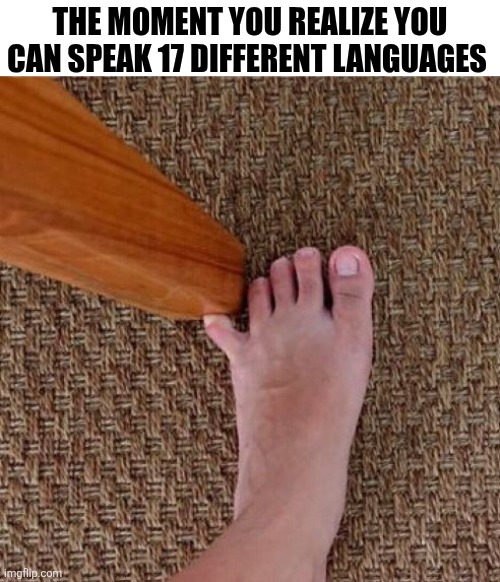 The Moment You Realize You Can Speak 17 Different Languages | The moment you realize you can speak 17 different languages | image tagged in f35cje9x0aa7ewz jpg | made w/ Imgflip meme maker