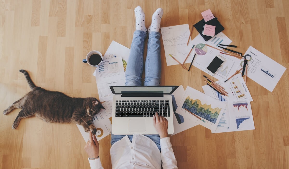 work from home cat Blank Meme Template