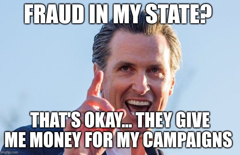 For legal reasons this is satire | fraud in my state? That's okay... they give me money for my campaigns | image tagged in insane idiot gavin newsom | made w/ Imgflip meme maker