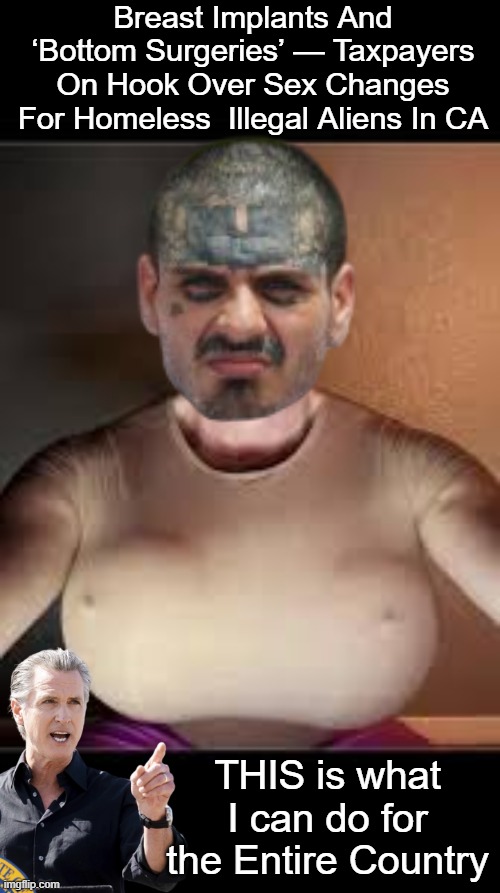 Get your Boobs From a Boob | Breast Implants And ‘Bottom Surgeries’ — Taxpayers On Hook Over Sex Changes For Homeless  Illegal Aliens In CA; THIS is what I can do for the Entire Country | image tagged in ca free breast implants meme | made w/ Imgflip meme maker
