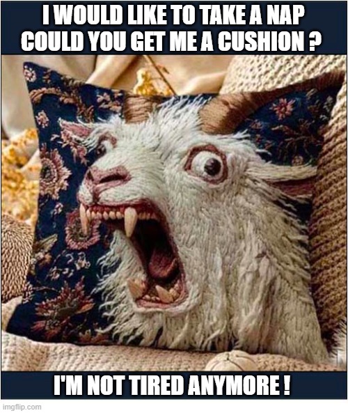 What The ... | i would like to take a nap could you get me a cushion ? I'm not tired anymore ! | image tagged in scary,cushion,screaming,goat | made w/ Imgflip meme maker
