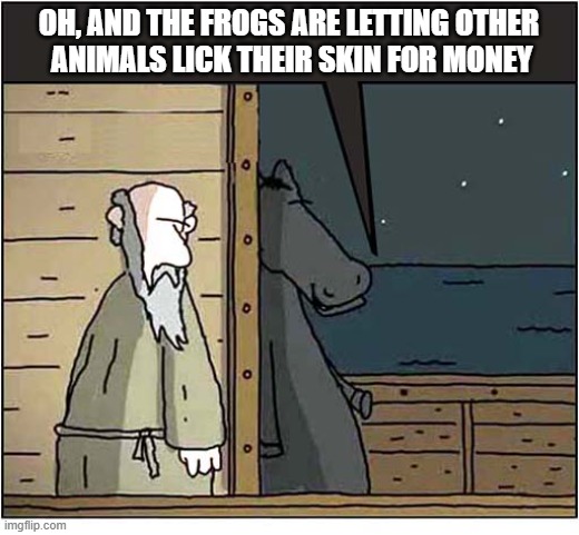 Noah's Nark ! | Oh, and the frogs are letting other
 animals lick their skin for money | image tagged in noah's ark,undercover,horse,informant | made w/ Imgflip meme maker