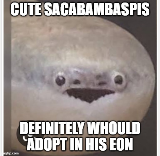 cute | cute sacabambaspis; definitely whould adopt in his eon | image tagged in prehistoric | made w/ Imgflip meme maker