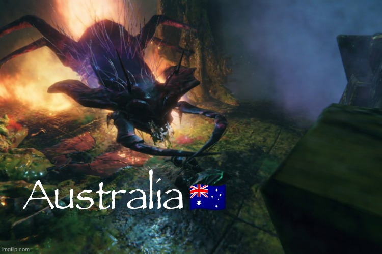 🇦🇺 | made w/ Imgflip meme maker