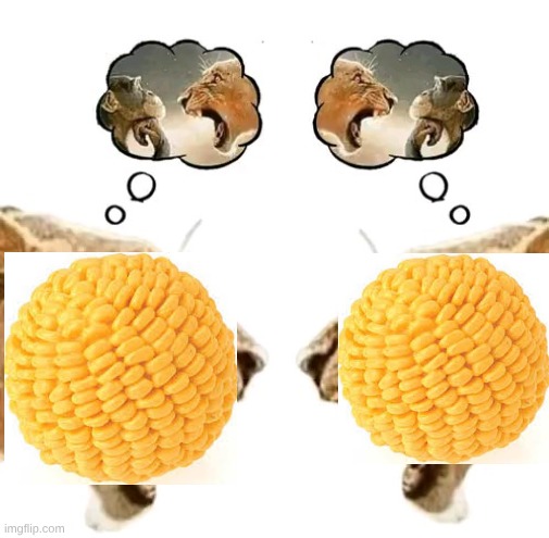 furries vs anti furries lore | image tagged in lion vs lion | made w/ Imgflip meme maker