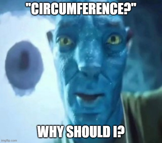 Avatar guy | "circumference?"; Why should i? | image tagged in avatar guy | made w/ Imgflip meme maker