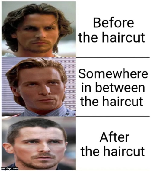 The perfect haircut never exis... | image tagged in memes,funny,haircut,so true,relatable memes | made w/ Imgflip meme maker