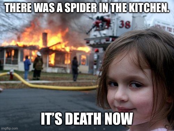 Disaster Girl | There was a spider in the kitchen. it’s death now | image tagged in memes,disaster girl | made w/ Imgflip meme maker