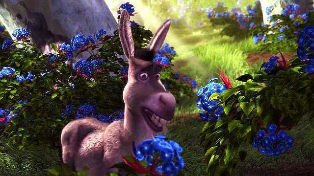 blue-flower-red-thorns Blank Meme Template