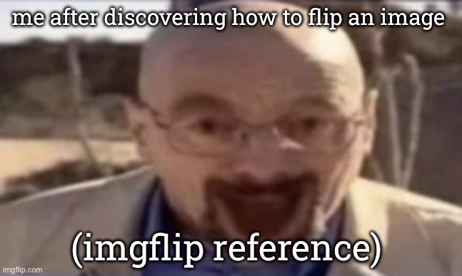 waltuh happy | me after discovering how to flip an image; (imgflip reference) | image tagged in waltuh happy | made w/ Imgflip meme maker