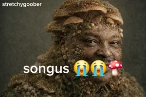 High Quality songus Blank Meme Template